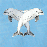 Krafttier Delfin - Polaritäten
